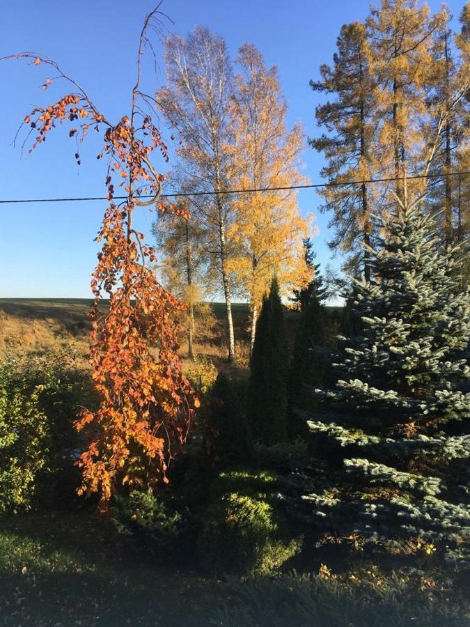 Penzion Kunvald Konciny Eksteriør billede